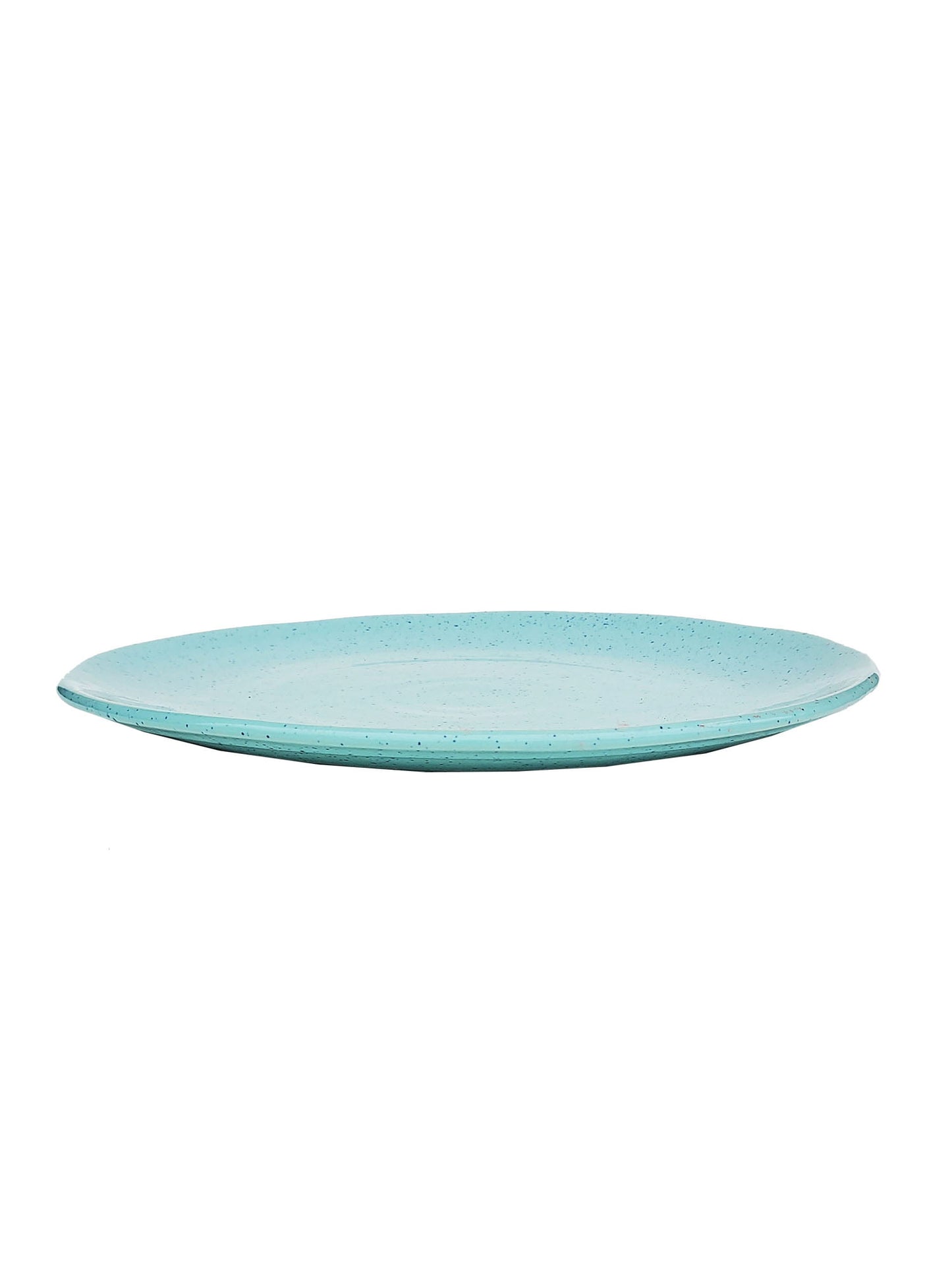 Aqua Organic Dinner Plate