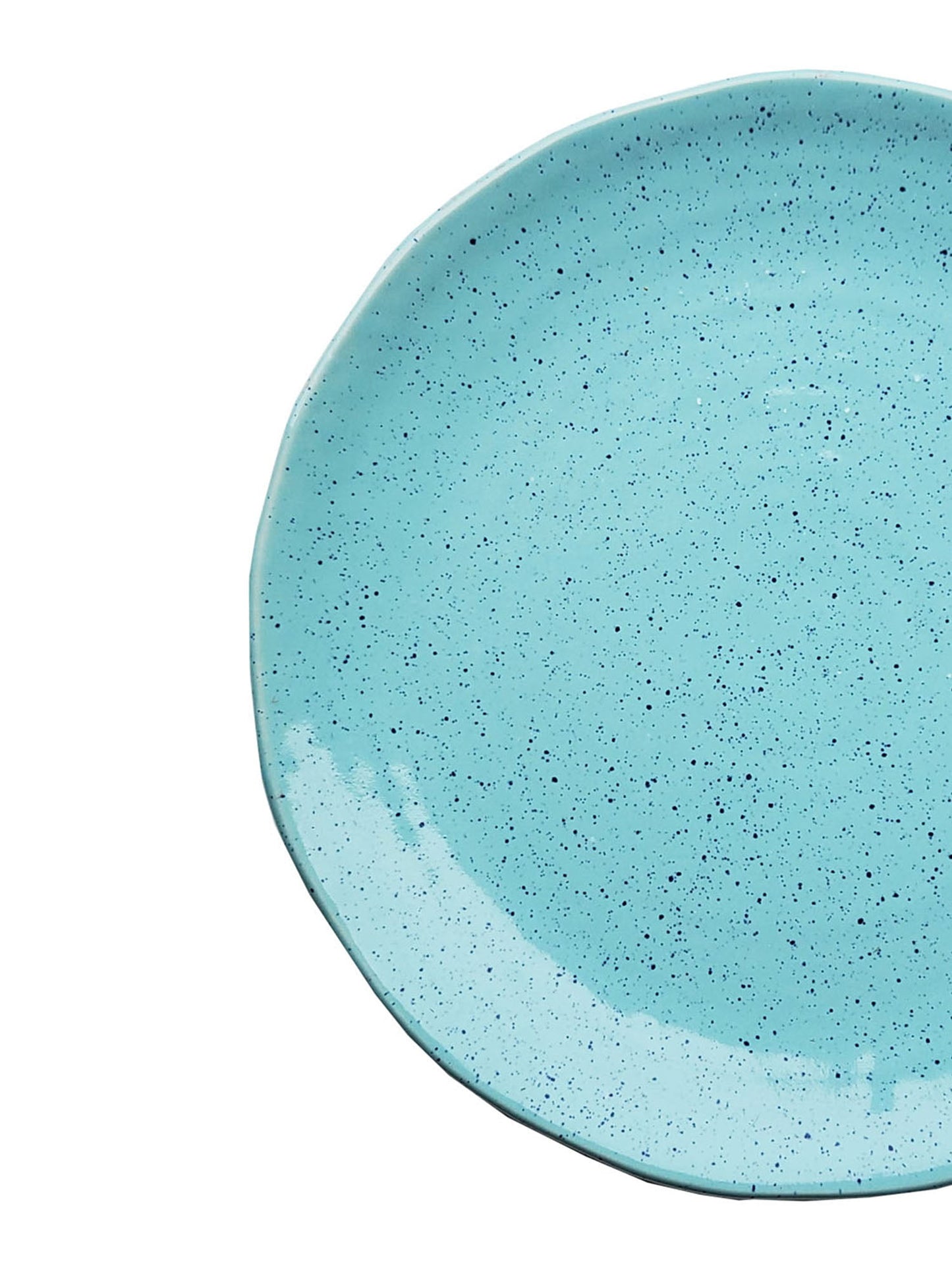 Aqua Organic Dinner Plate