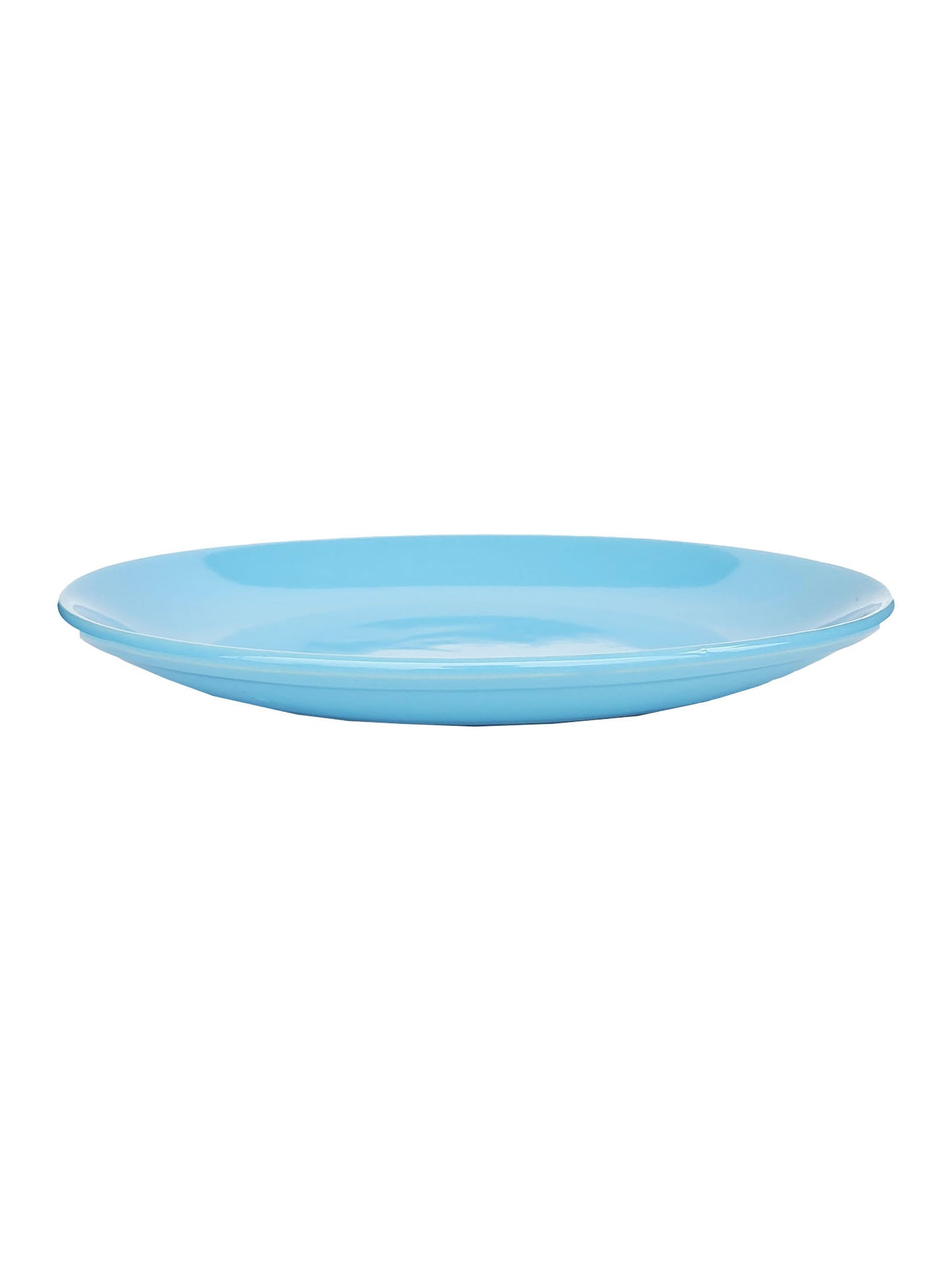 Aquarium Dinner Plate