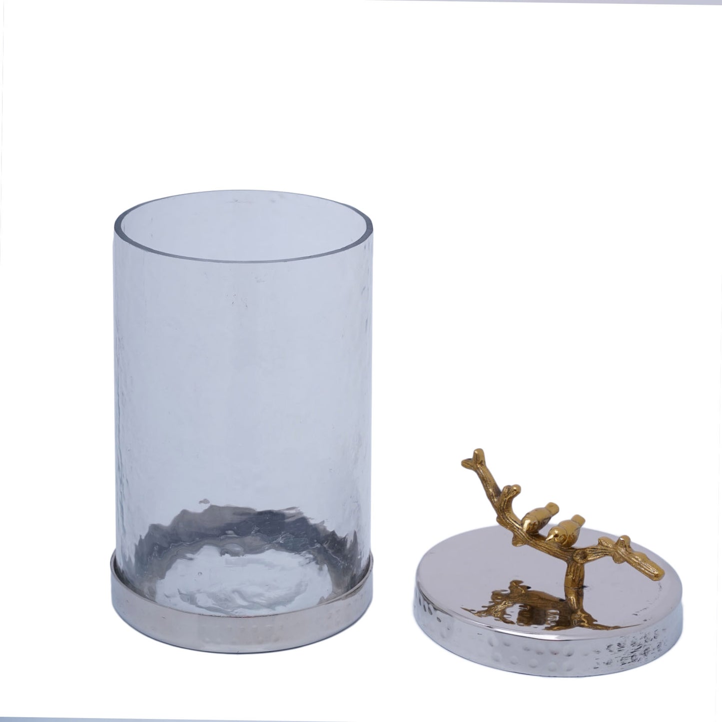 Glass Big Canister Bird Vase with Lid