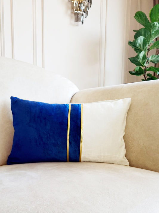 Aarav Velvet cushion cover