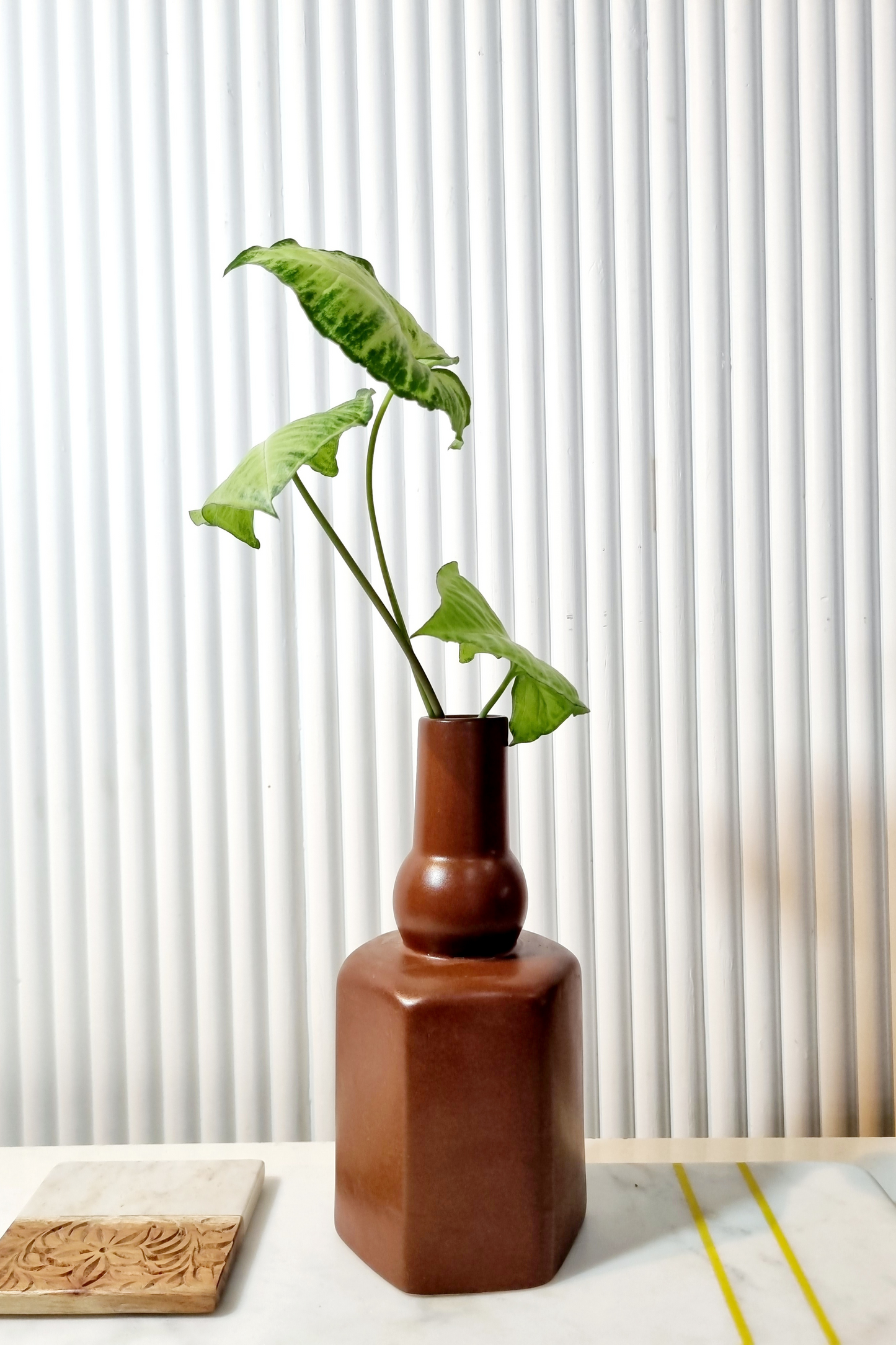 Sirahi Terracotta Vase