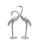 Whooping Grus