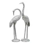 Whooping Grus