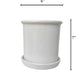 Lilium Planter