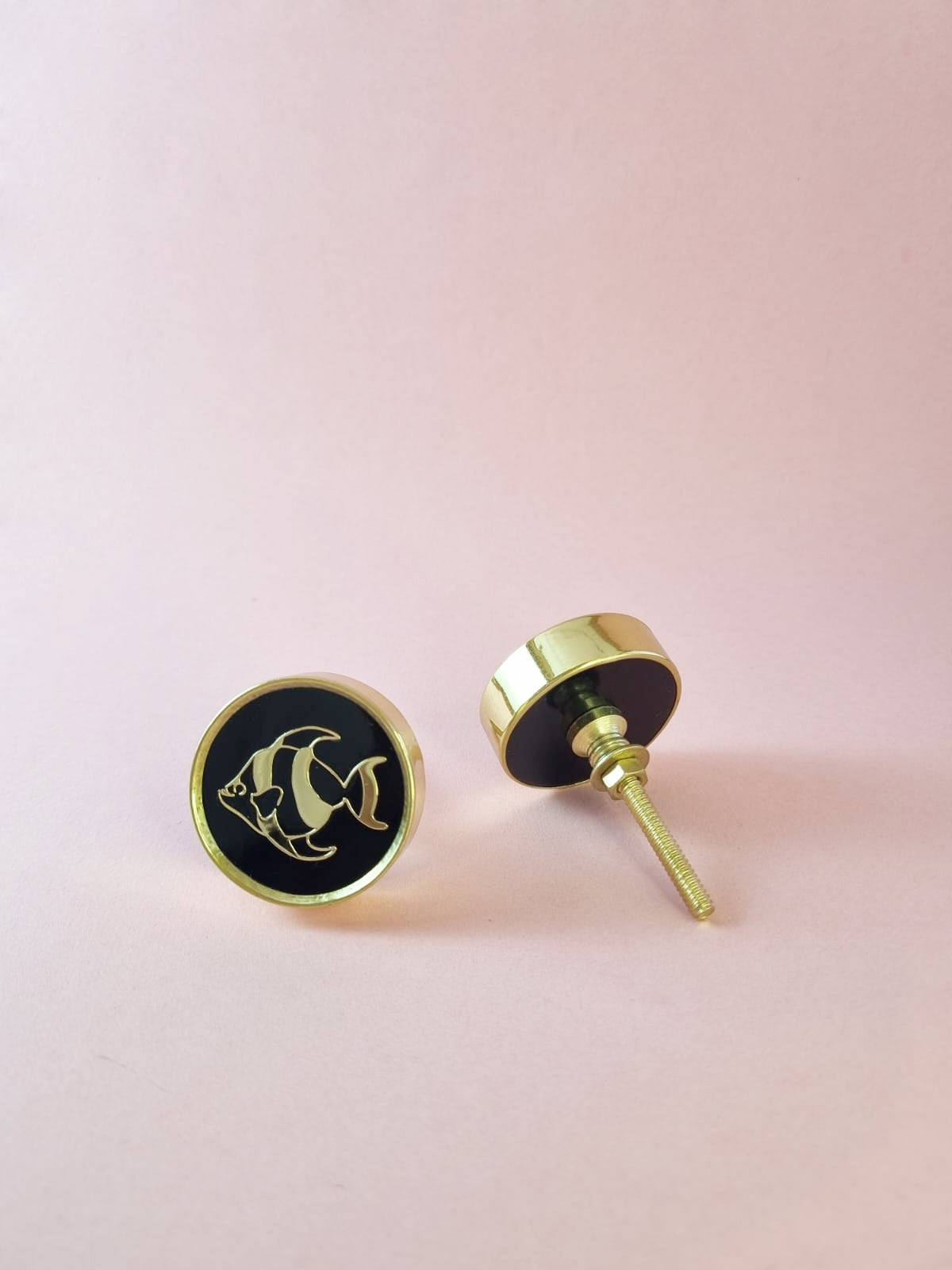 Matsya Drawer Knobs (Set of 2)