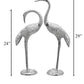 Whooping Grus
