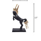Gothic Black Stallion