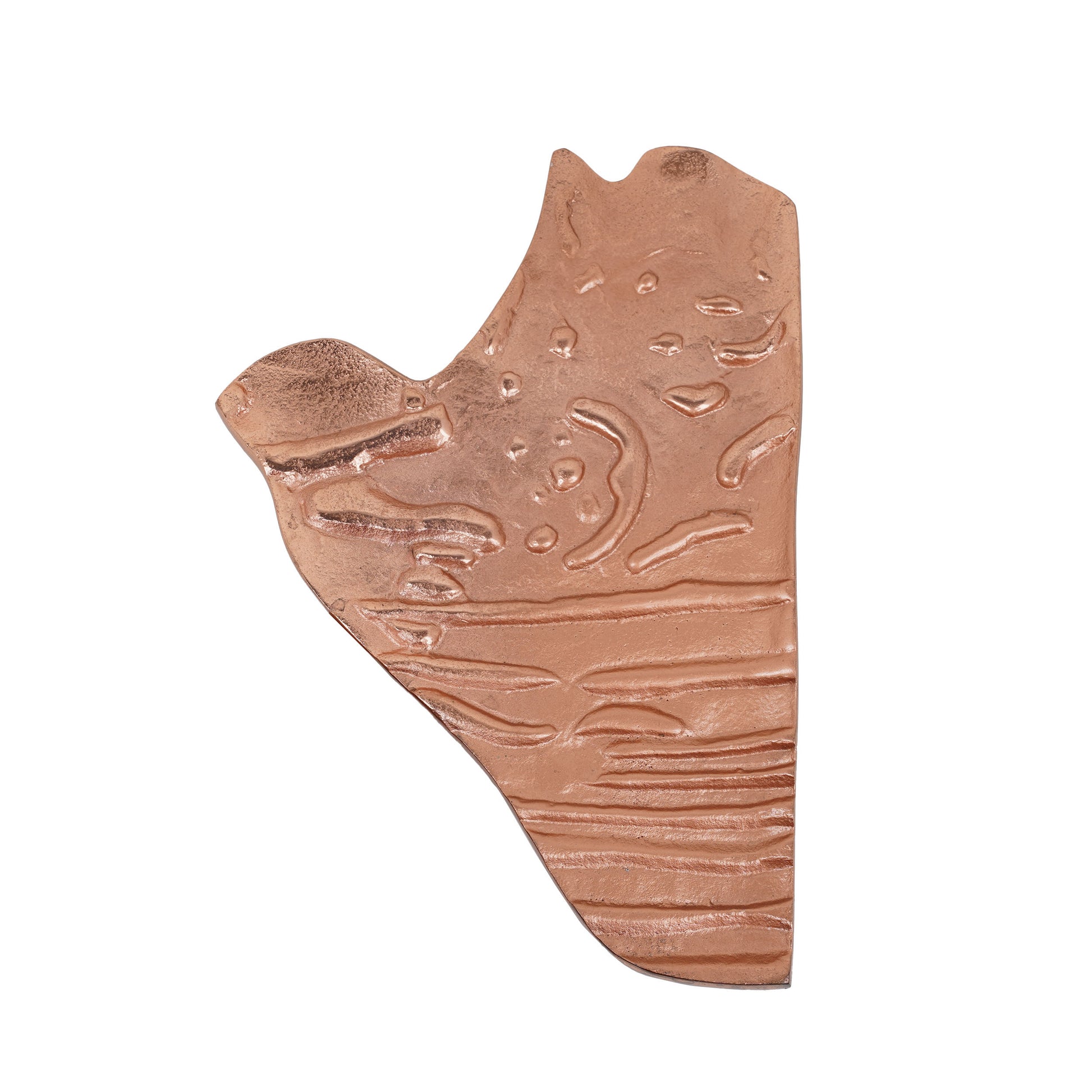 Fossil Wardrobe Door handle-Door Handles & Knobs-Folkstorys