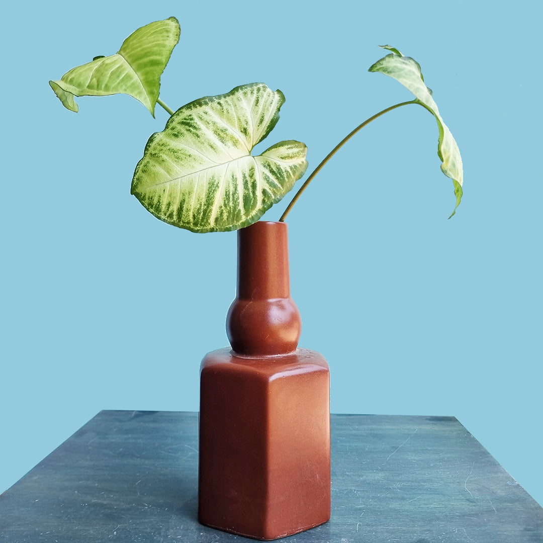 Sirahi Terracotta Vase