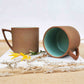 Indian Paintbrush Mugs
