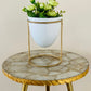 Pistachio Rose (Small) Planter