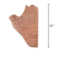Fossil Wardrobe Door handle-Door Handles & Knobs-Folkstorys