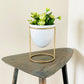 Pistachio Rose (Small) Planter