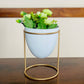 Pistachio Rose (Small) Planter