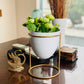 Pistachio Rose (Small) Planter