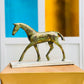 Pattina Pony