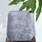 Quadrata Rasa Planter