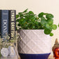 Stripe Hexagonal Pot