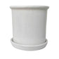 Lilium Planter