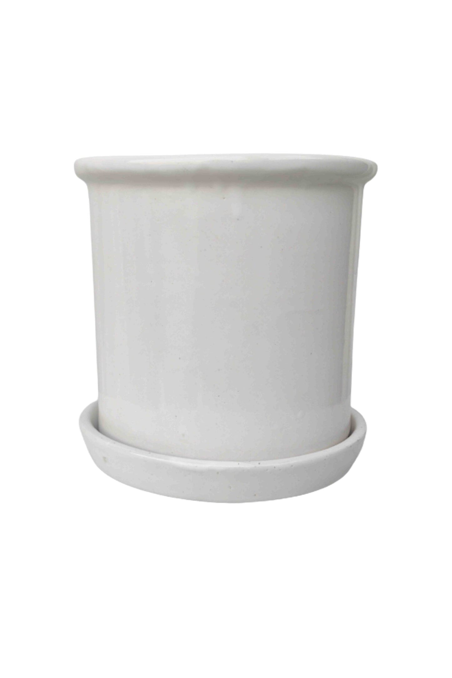 Lilium Planter