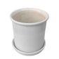 Lilium Planter