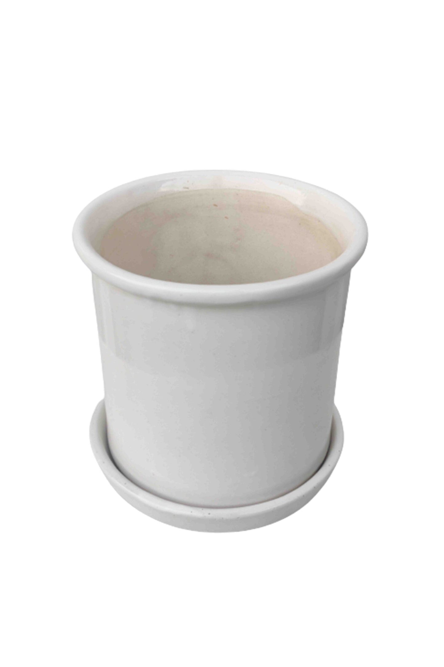Lilium Planter
