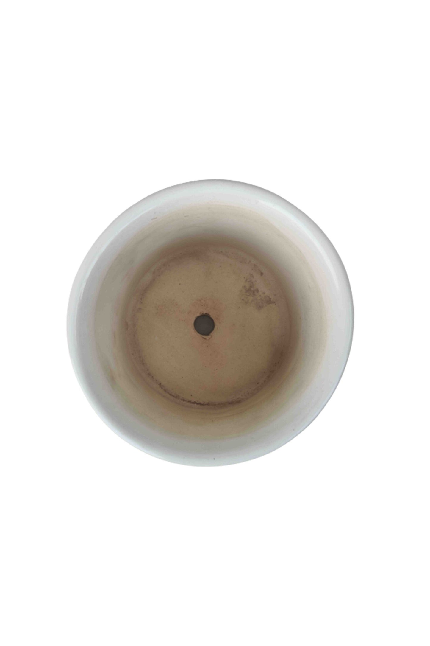 Lilium Planter