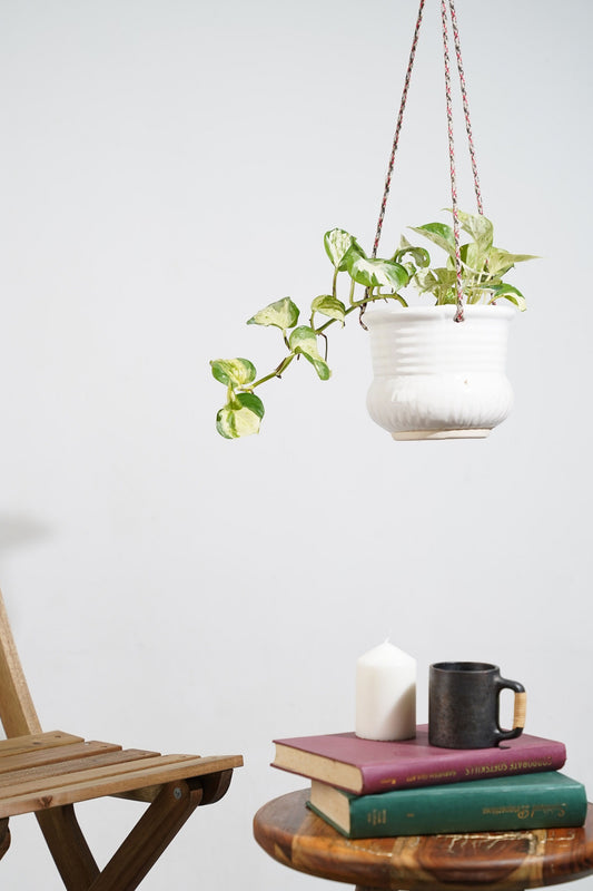 White Charm Hanging Planter