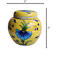 Umbre Pottery Jar