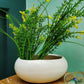Navis Planter